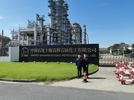 1723552702998.png image.png