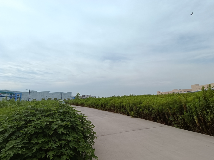 1723717596683.png image.png