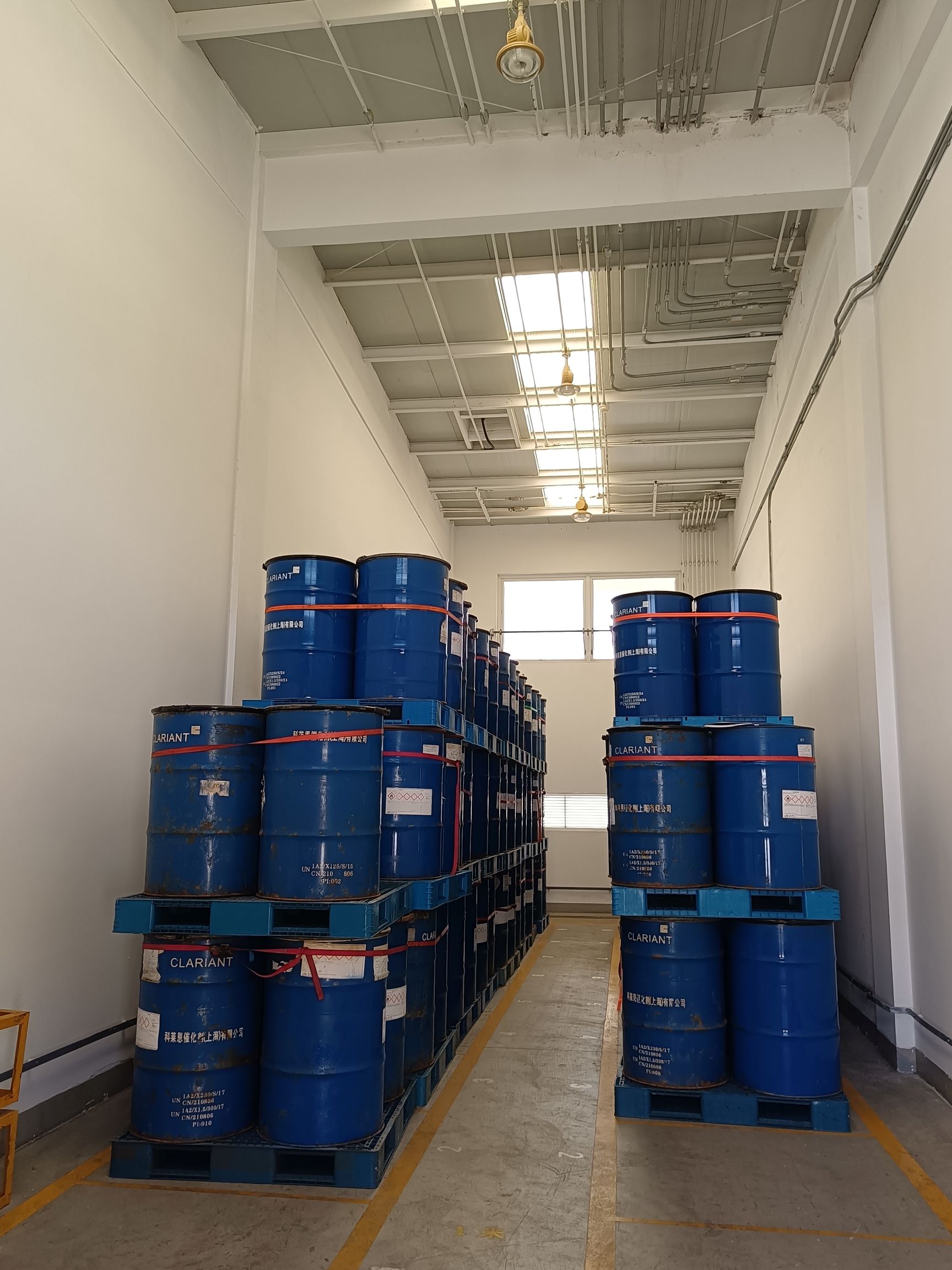 1749465627390.jpg IMG_20241106_103613.jpg